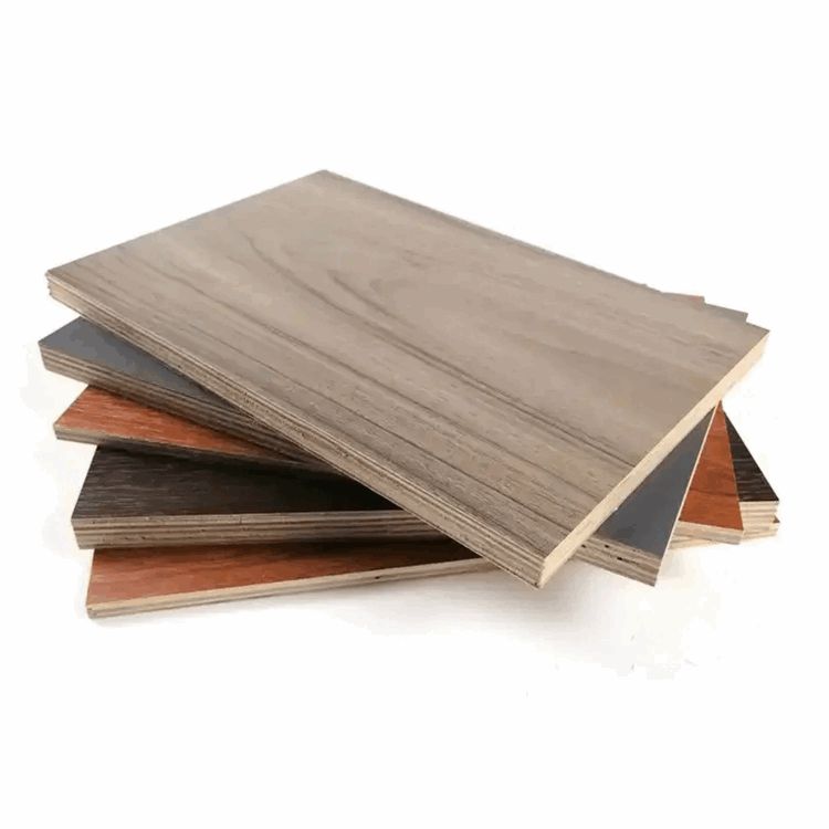 Whole Eucalyptus Board